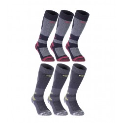 TE58A - 1/2 DOC X COLOR