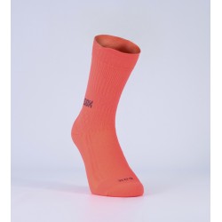 TE232B - 1/2 DOC X COLOR