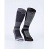 TE58A - 1/2 DOC X COLOR