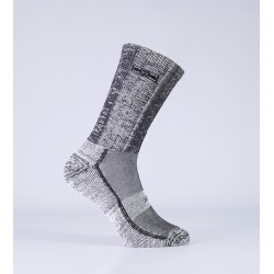 TE31B - 1/2 DOC X COLOR