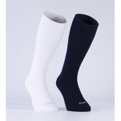 NI312C - 1/2 DOC X COLOR